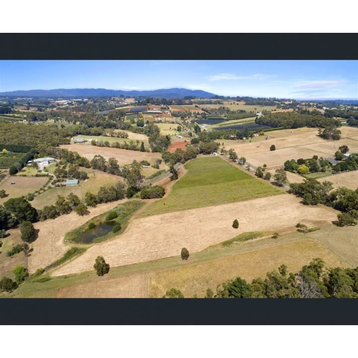 295 Beenak Road, Seville, Seville - Thumbnail 3