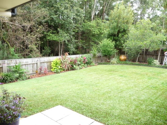14 Red Jacket Court, Palmwoods, Palmwoods - Thumbnail 5