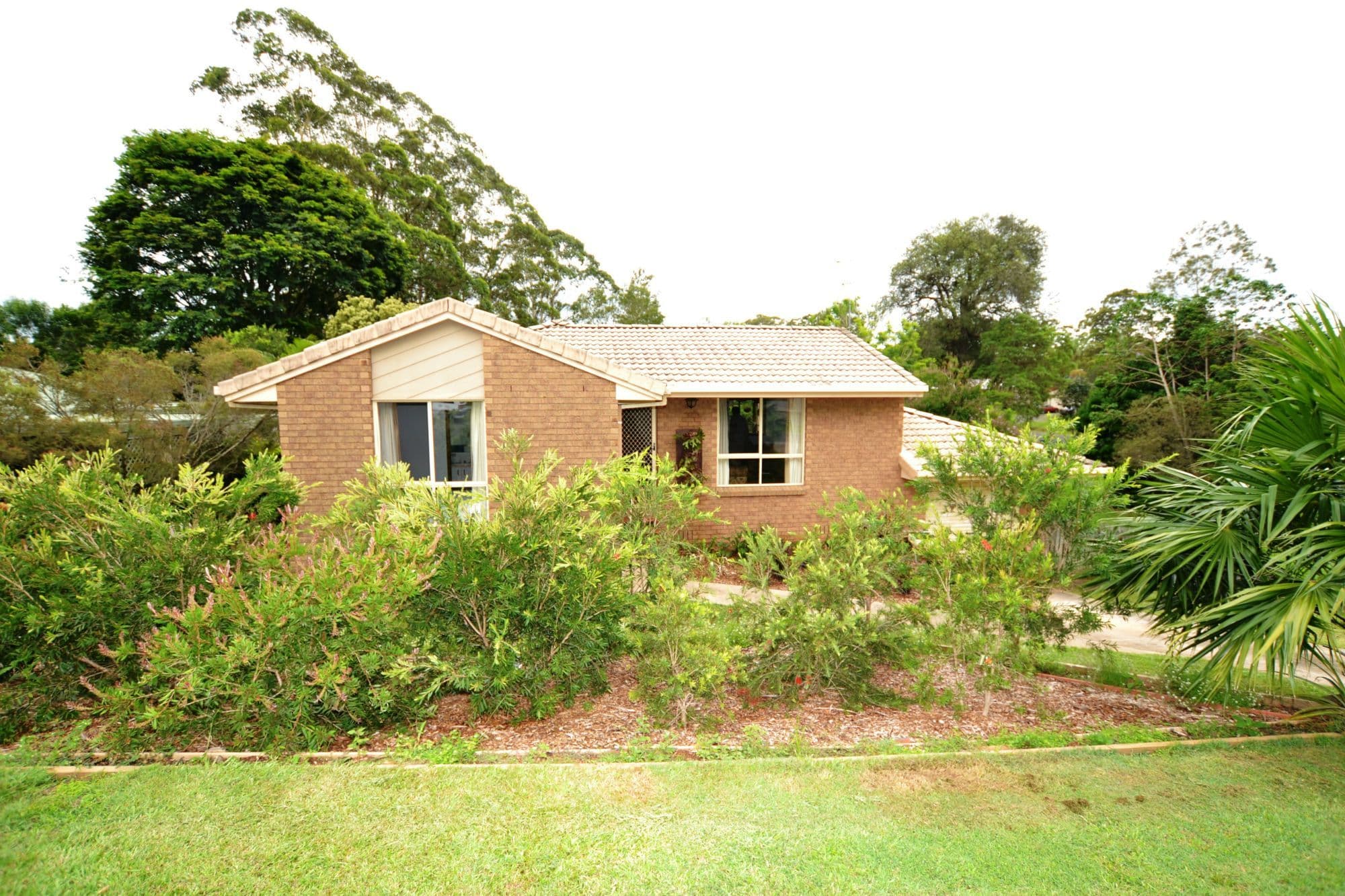 3 Palm Grove Court, Palmwoods, Palmwoods - Thumbnail 2