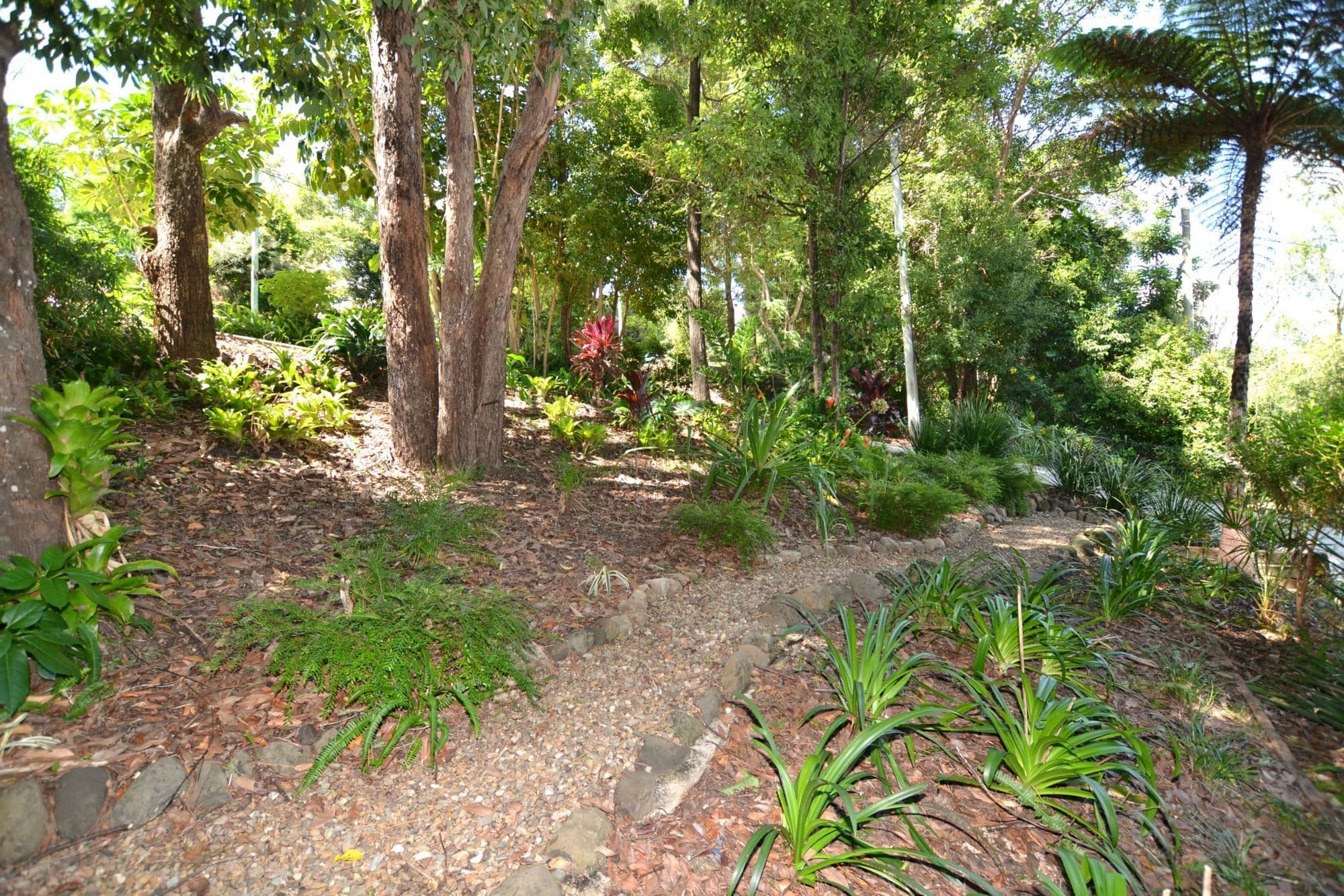 13 Churchill Street, Palmwoods, Palmwoods - Thumbnail 6