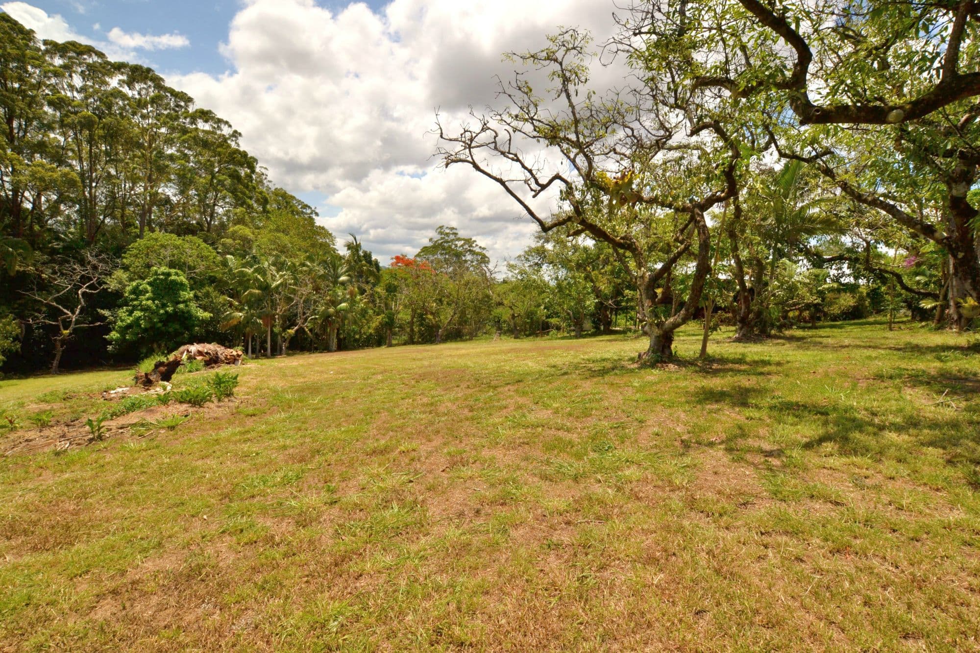 Lot 6 Chevallum Rd St, Palmwoods, Palmwoods - Image 1