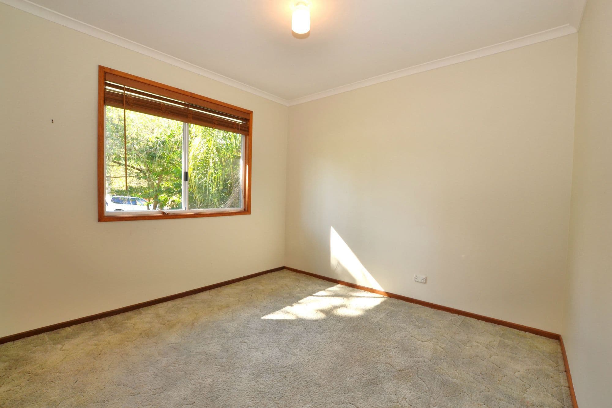 22 Tytherleigh Road, Palmwoods, Palmwoods - Thumbnail 6
