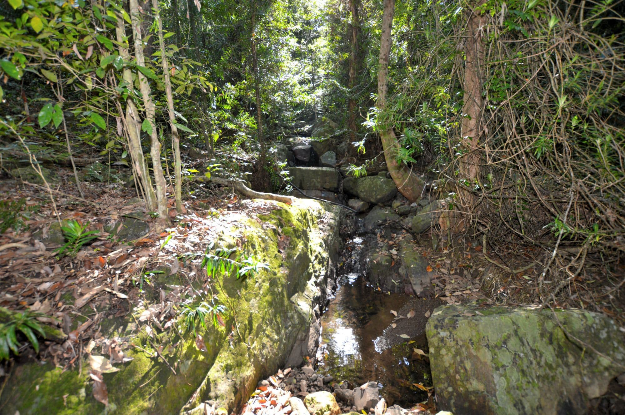 145 Kirbys Road, Montville, Montville - Thumbnail 6