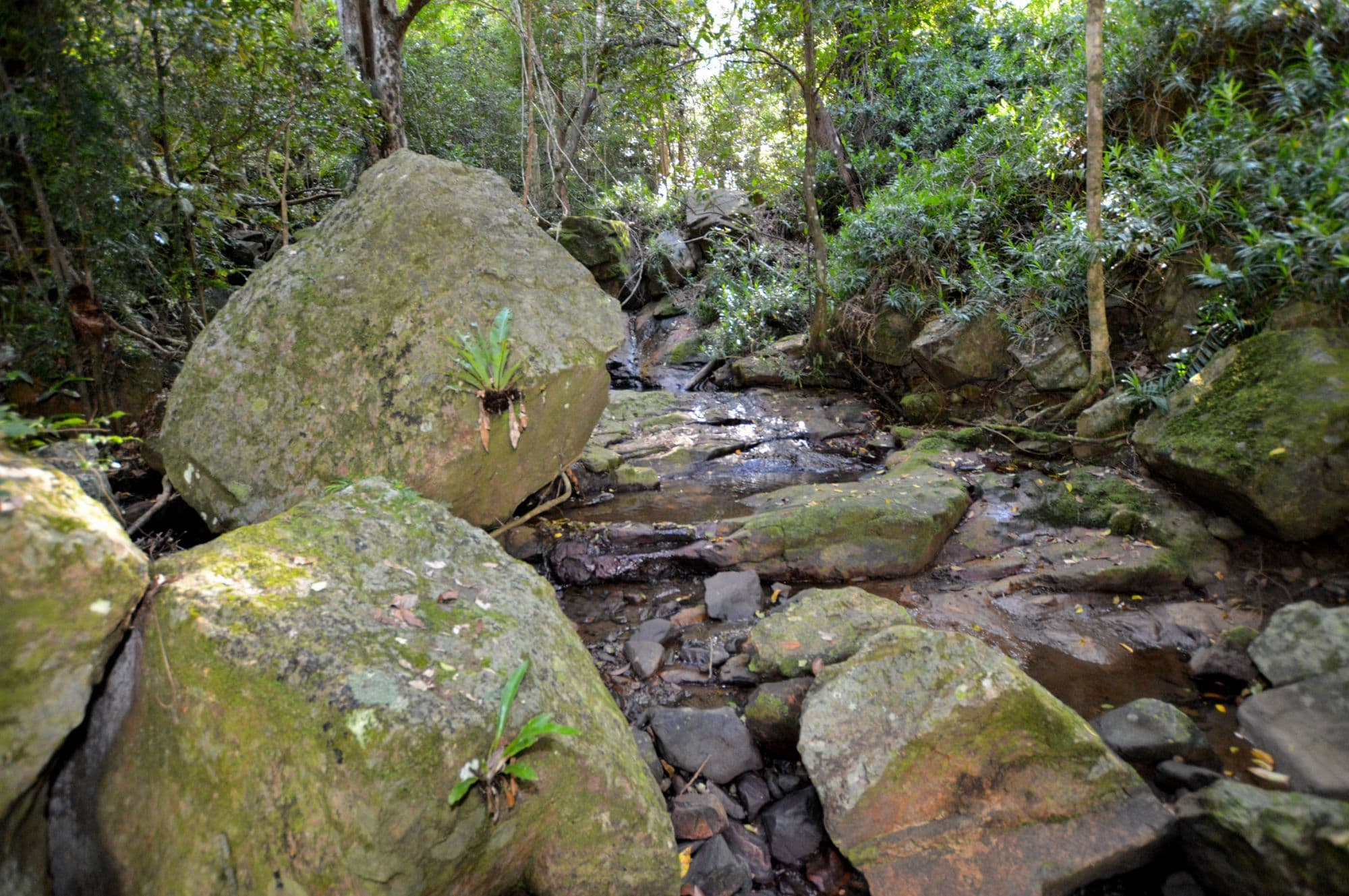 145 Kirbys Road, Montville, Montville - Thumbnail 8