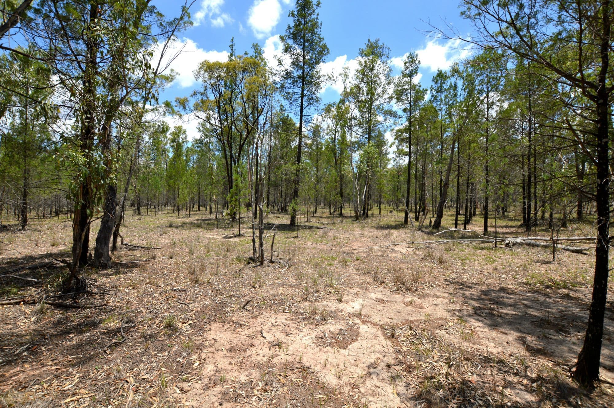 3044 Moonie Highway St, Dalby, Dalby - Thumbnail 2
