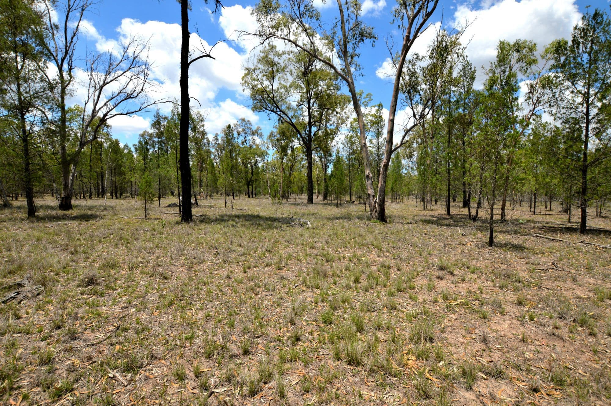 3044 Moonie Highway St, Dalby, Dalby - Thumbnail 5