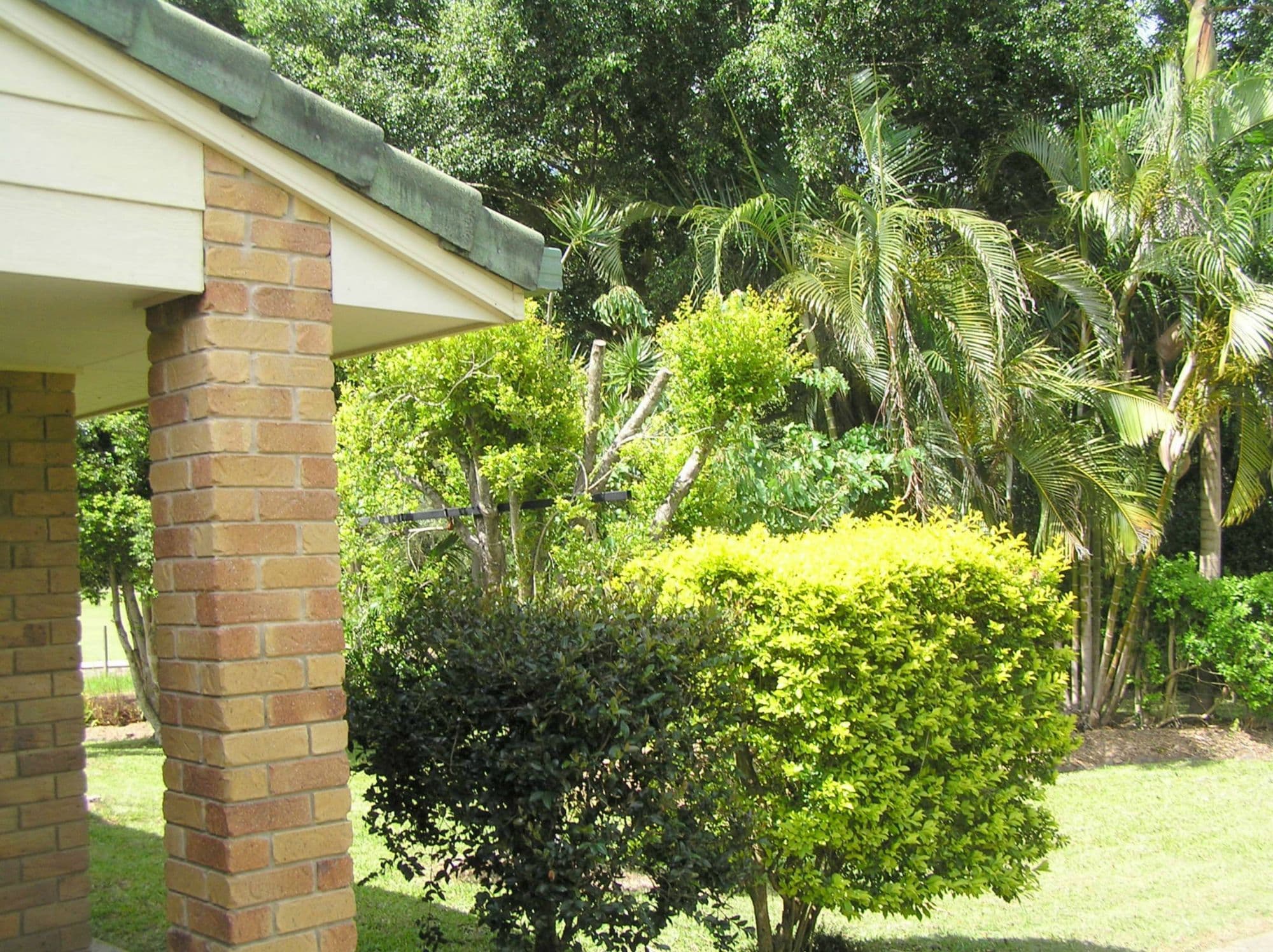 219 Dales Road, Chevallum, Chevallum - Thumbnail 2