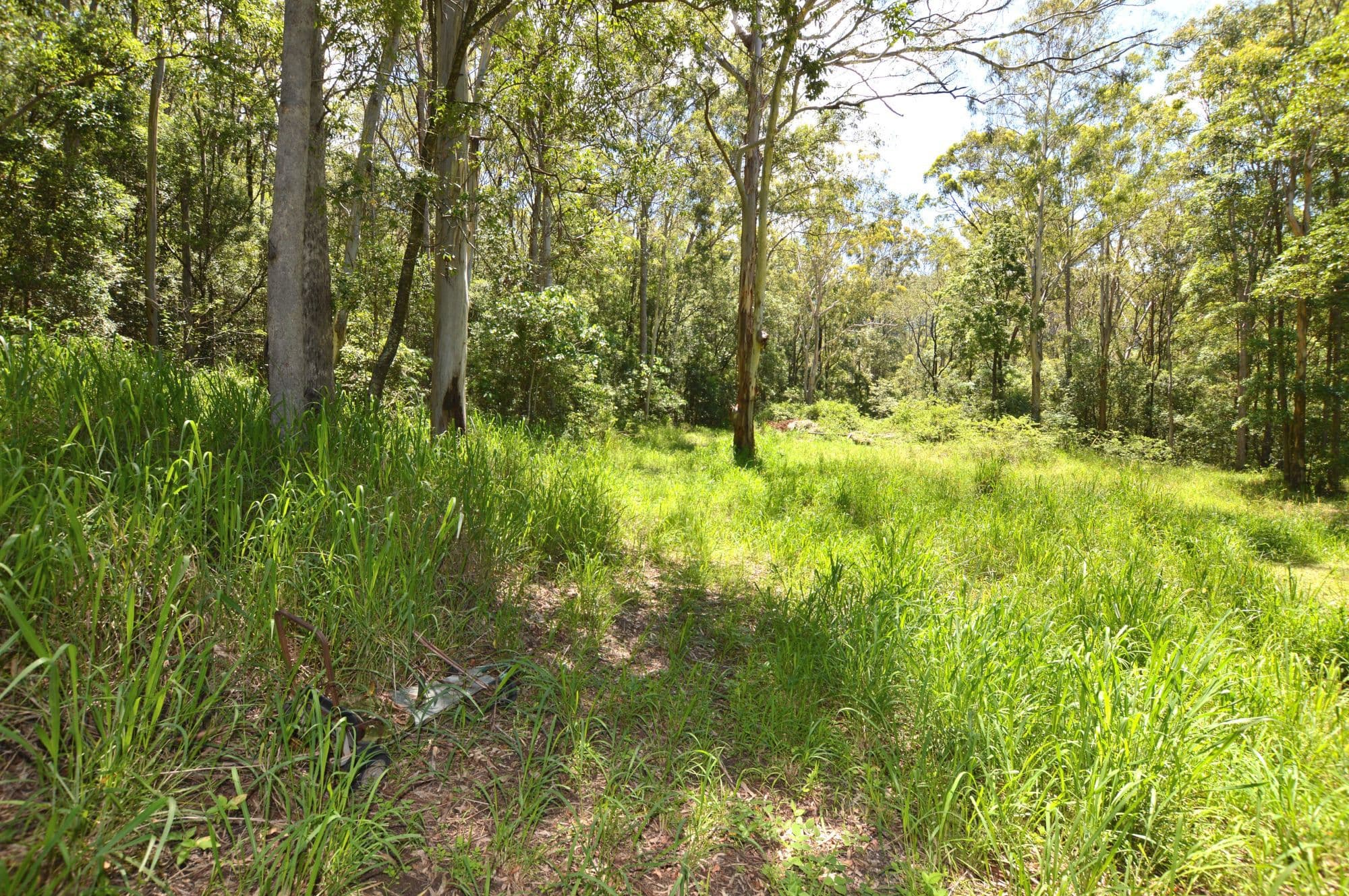 Lot 2 81 Barsons Road, Montville, Montville - Thumbnail 2