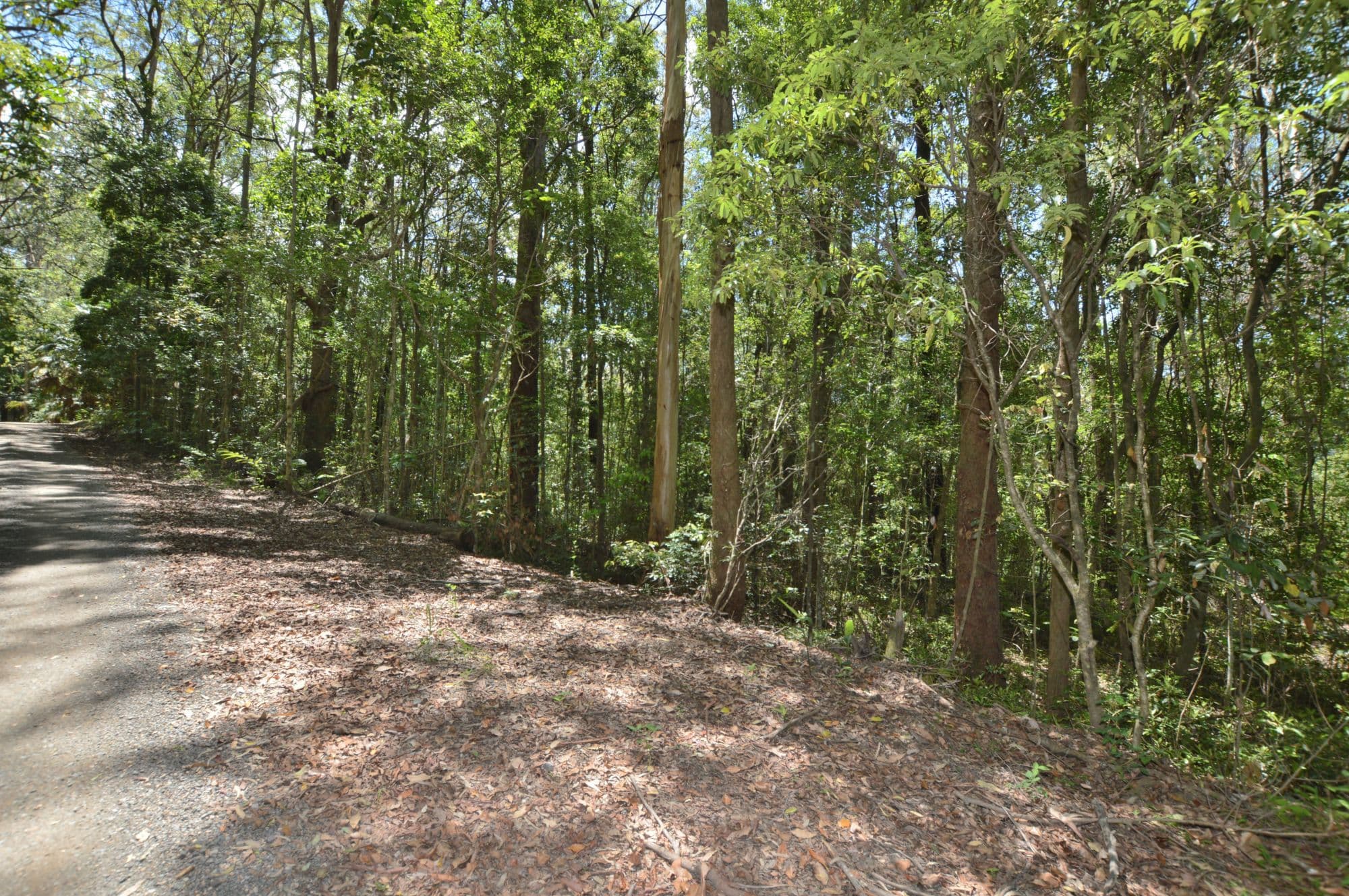 Lot 2 81 Barsons Road, Montville, Montville - Thumbnail 5