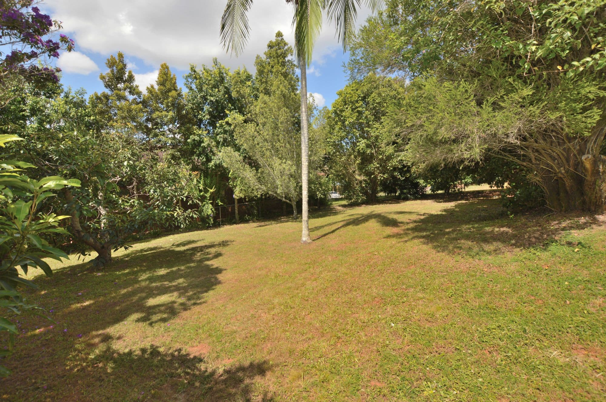 23 Chevallum Road, Palmwoods, Palmwoods - Thumbnail 5
