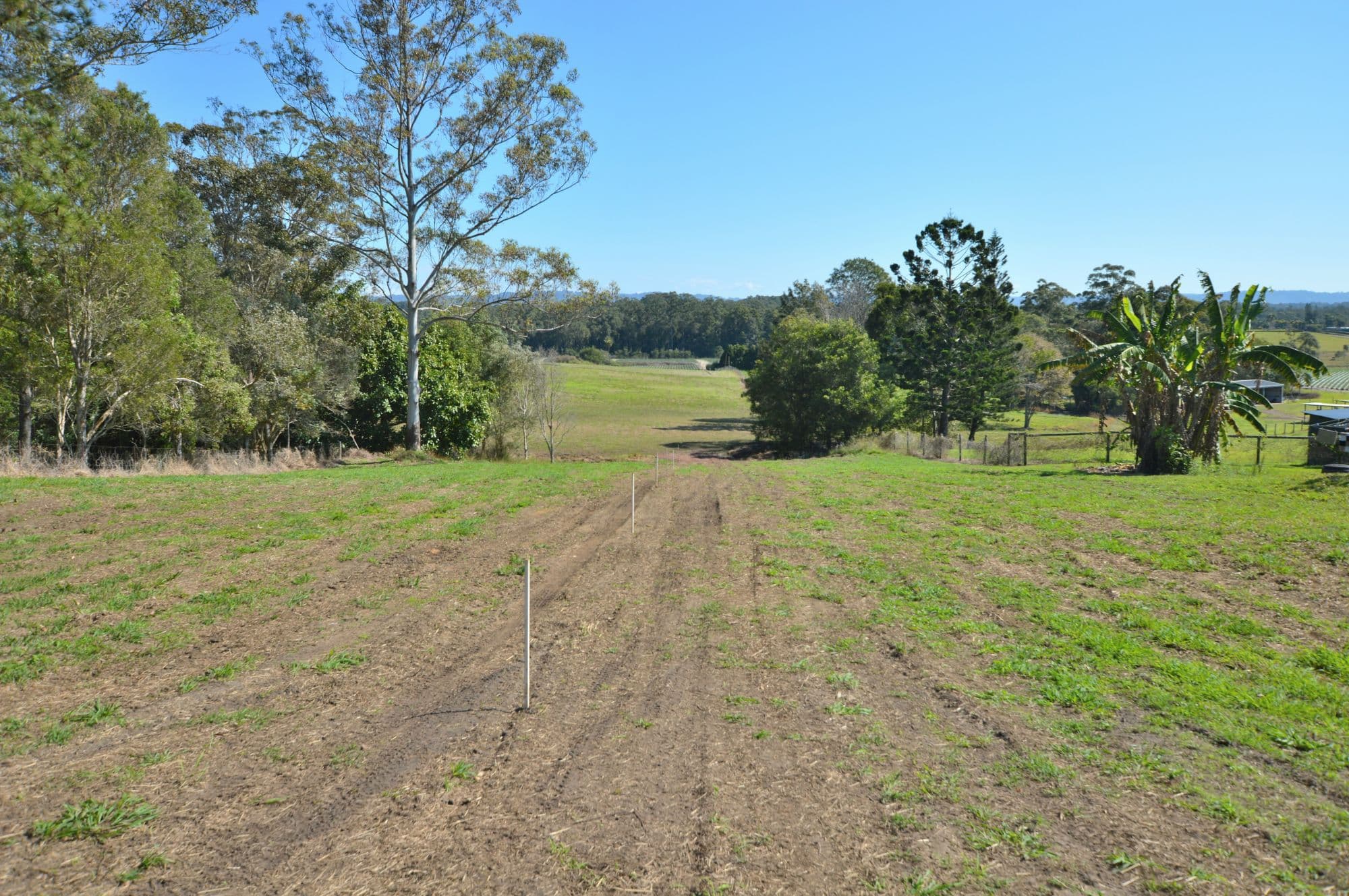 74 Rainforest Road, Chevallum, Chevallum - Thumbnail 7