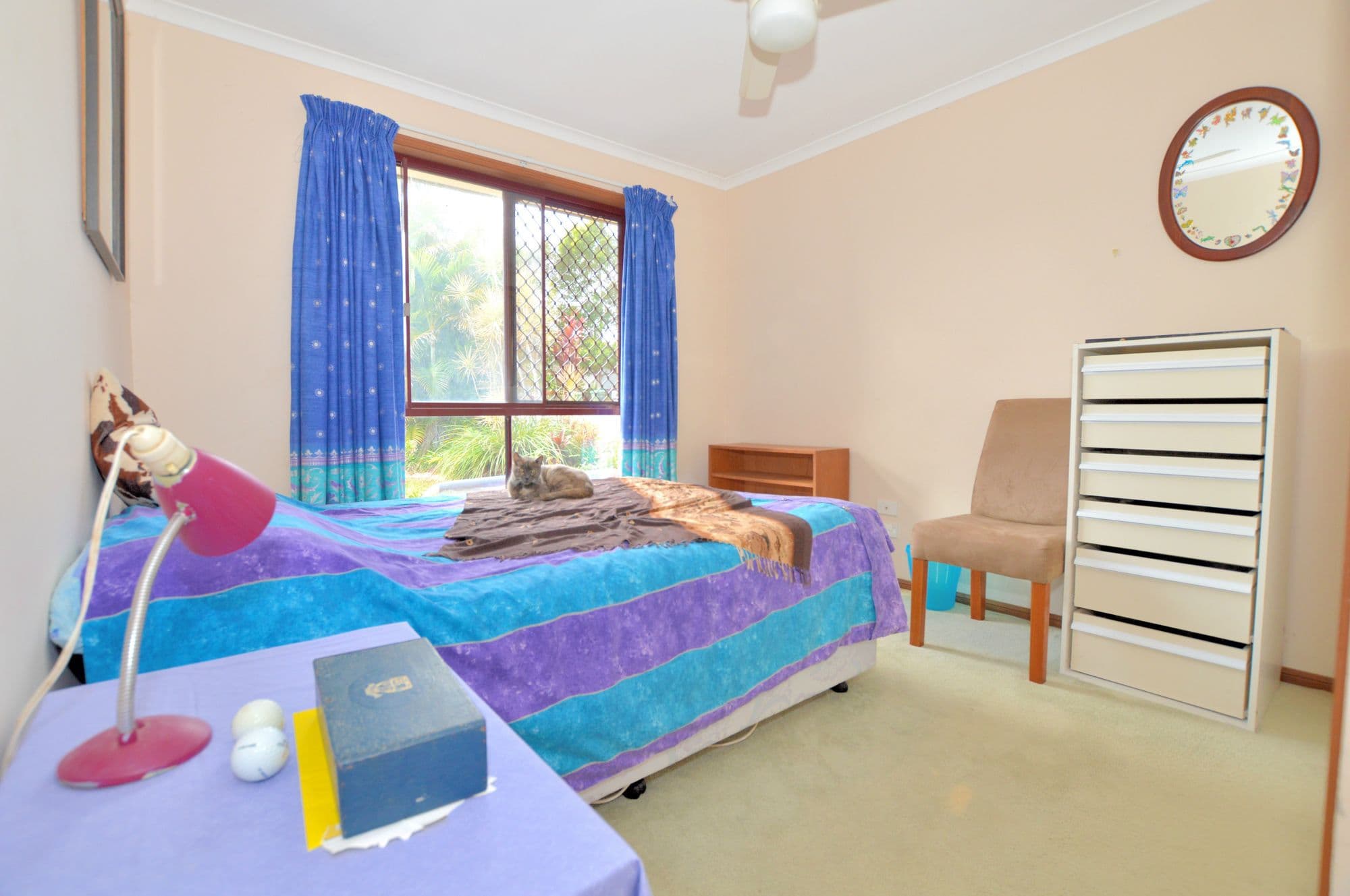 9 Wells Street, Palmwoods, Palmwoods - Thumbnail 5