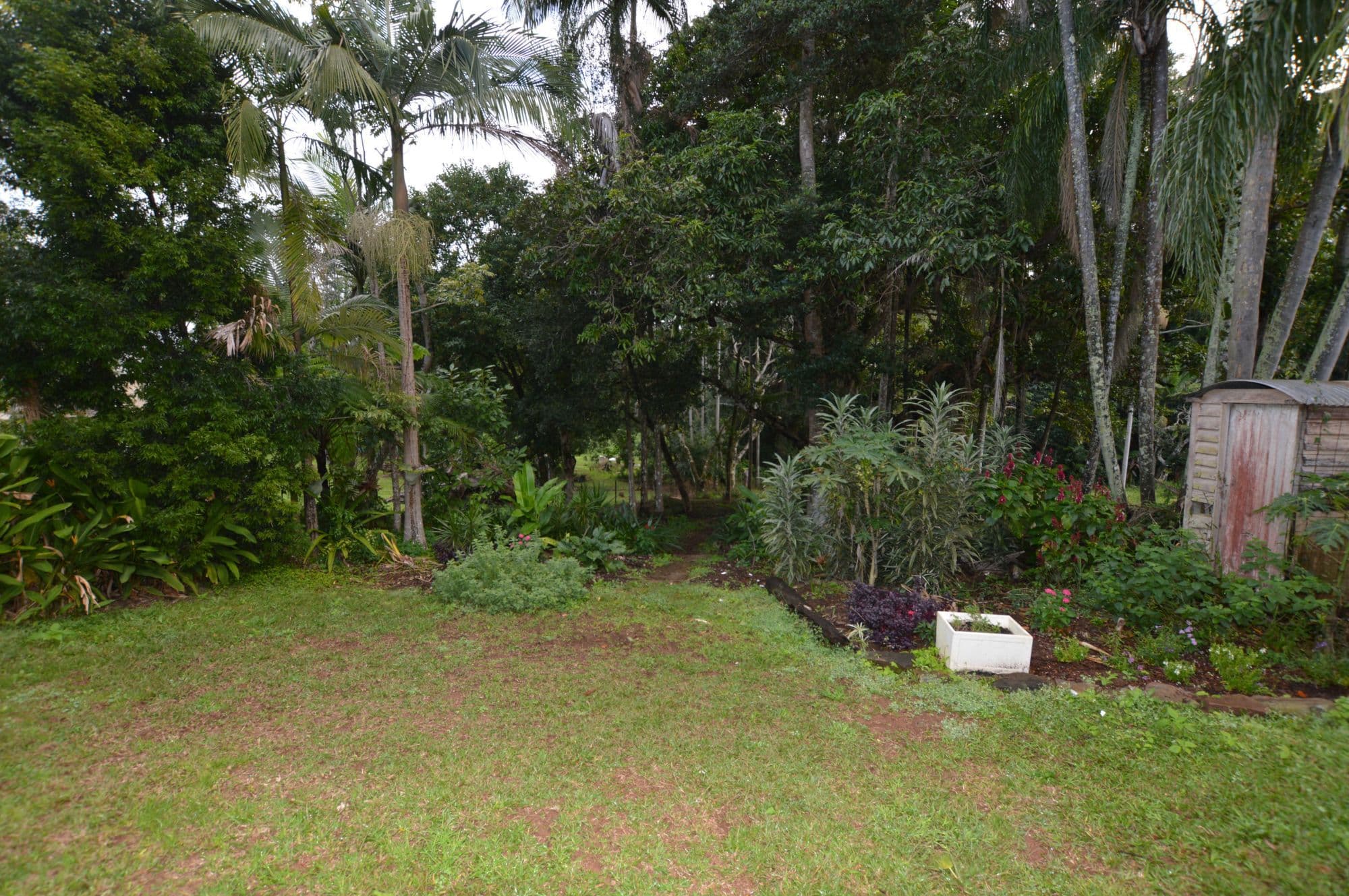 56 Chevallum Road, Palmwoods, Palmwoods - Thumbnail 6