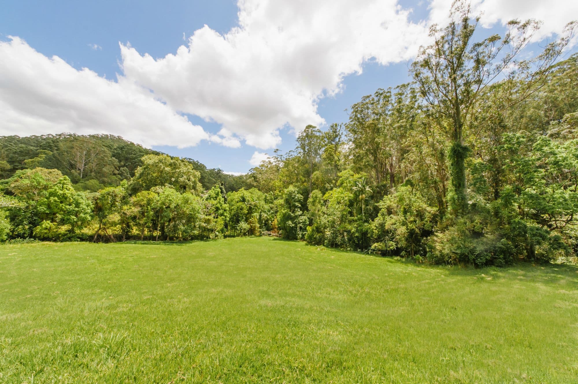 54 Gerrard Road, Eudlo, Eudlo - Thumbnail 8