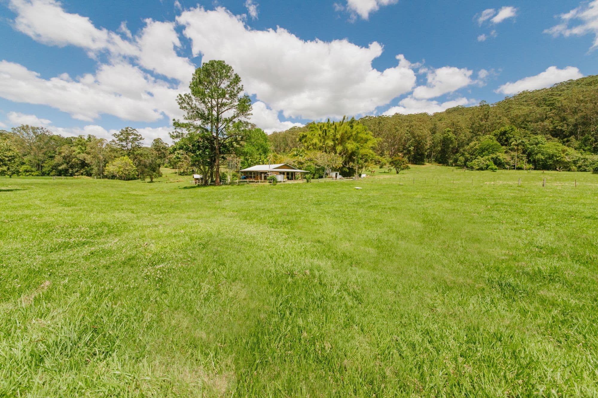 54 Gerrard Road, Eudlo, Eudlo - Thumbnail 6