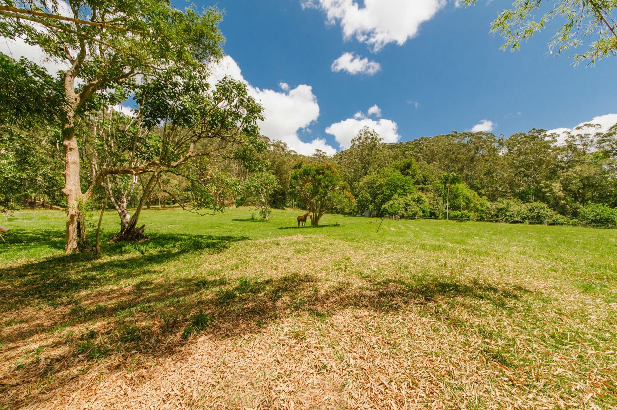 54 Gerrard Road, Eudlo, Eudlo - Thumbnail 5