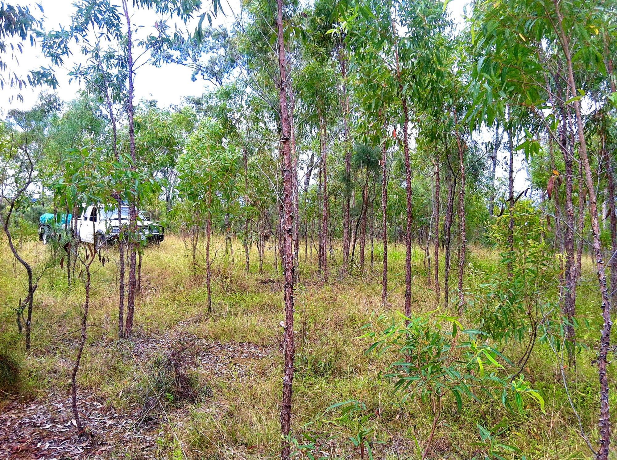 Lot 196 DAVIES Road, Captain Creek, Captain Creek - Thumbnail 2