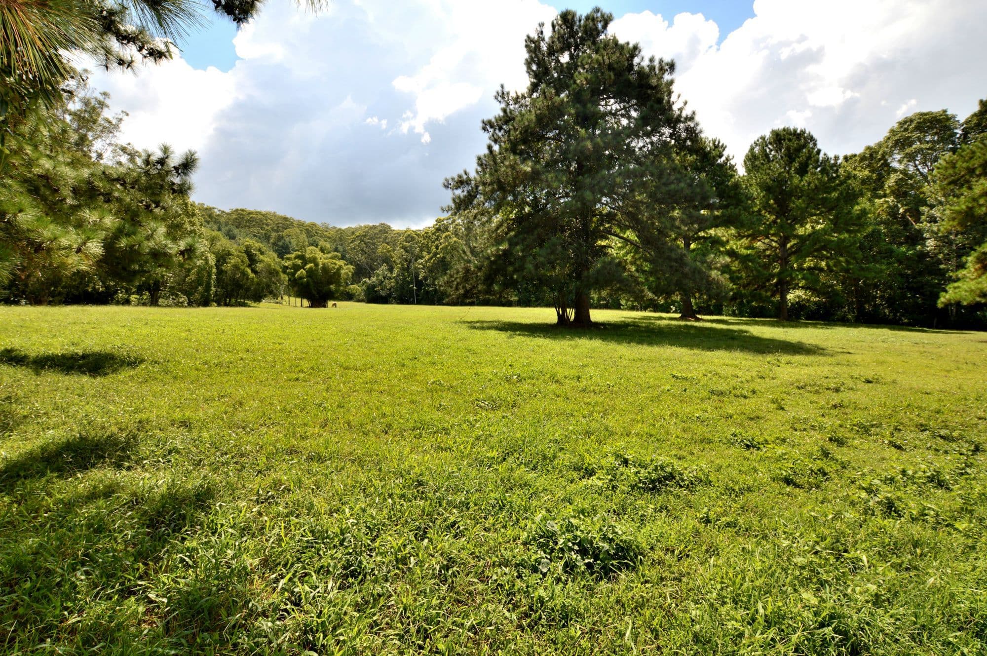 Lot 3 LAVENDER Close, Glenview, Glenview - Thumbnail 6