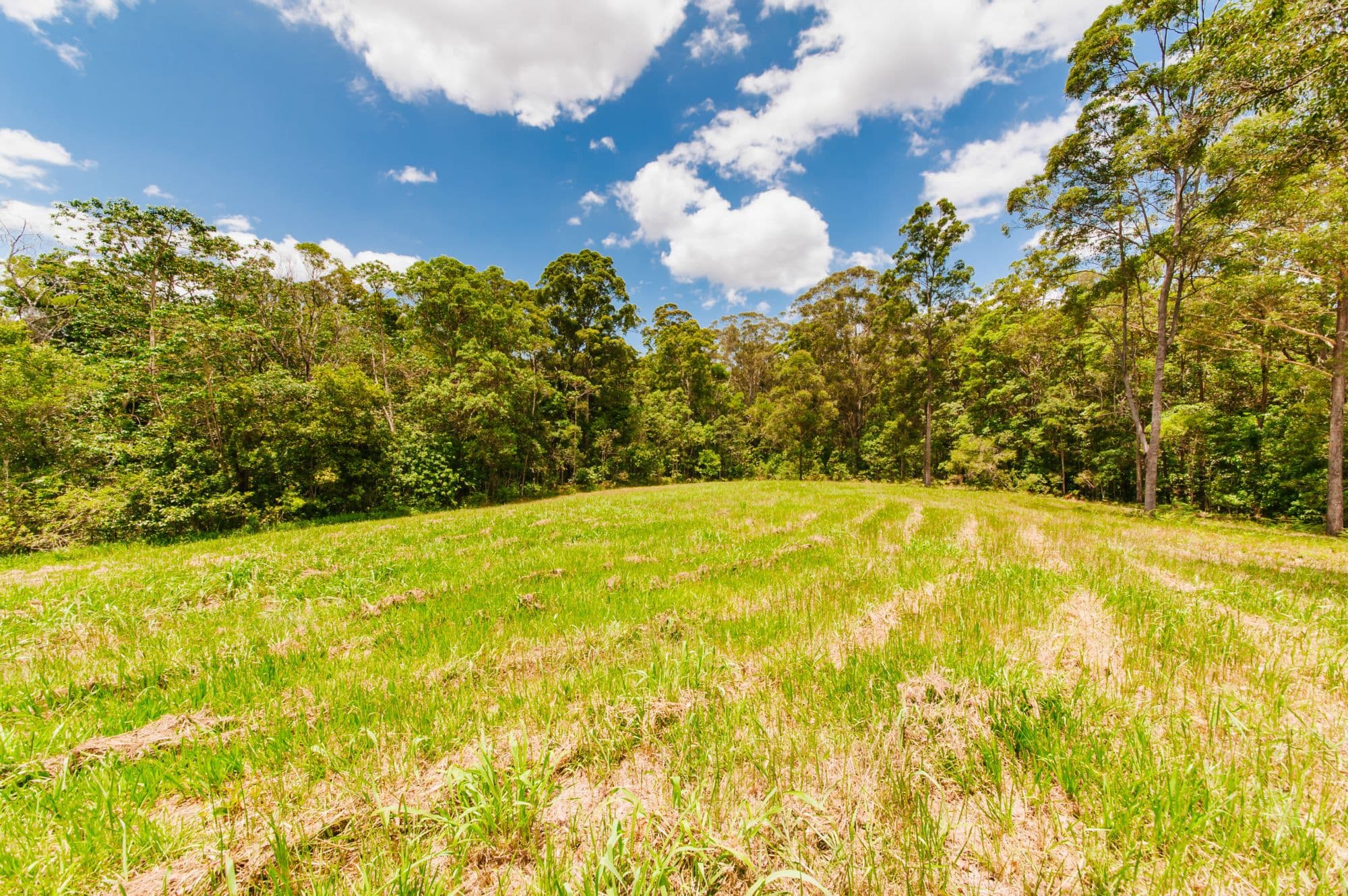 20 Gerrard Road, Eudlo, Eudlo - Thumbnail 6