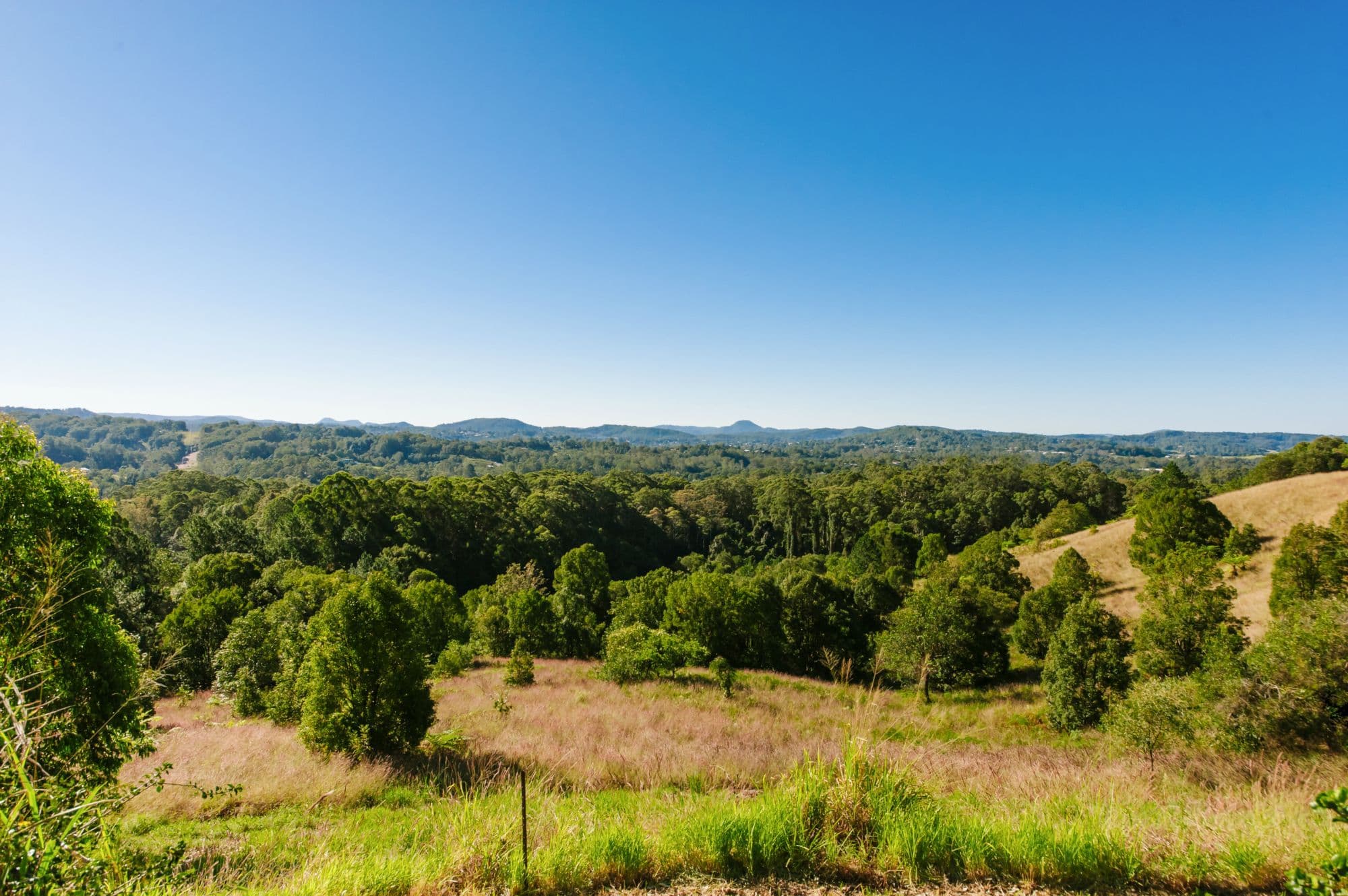 Lot 4 59-73 PARSONS KNOB Road South, Hunchy, Hunchy - Thumbnail 4