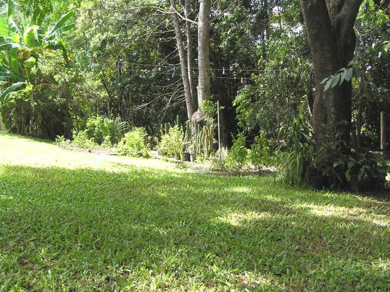 22 Tytherleigh Road, Palmwoods, Palmwoods - Thumbnail 7