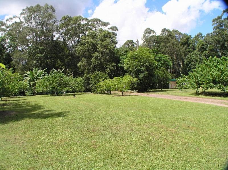 301 Palmwoods Montville Road, Palmwoods, Palmwoods - Image 1