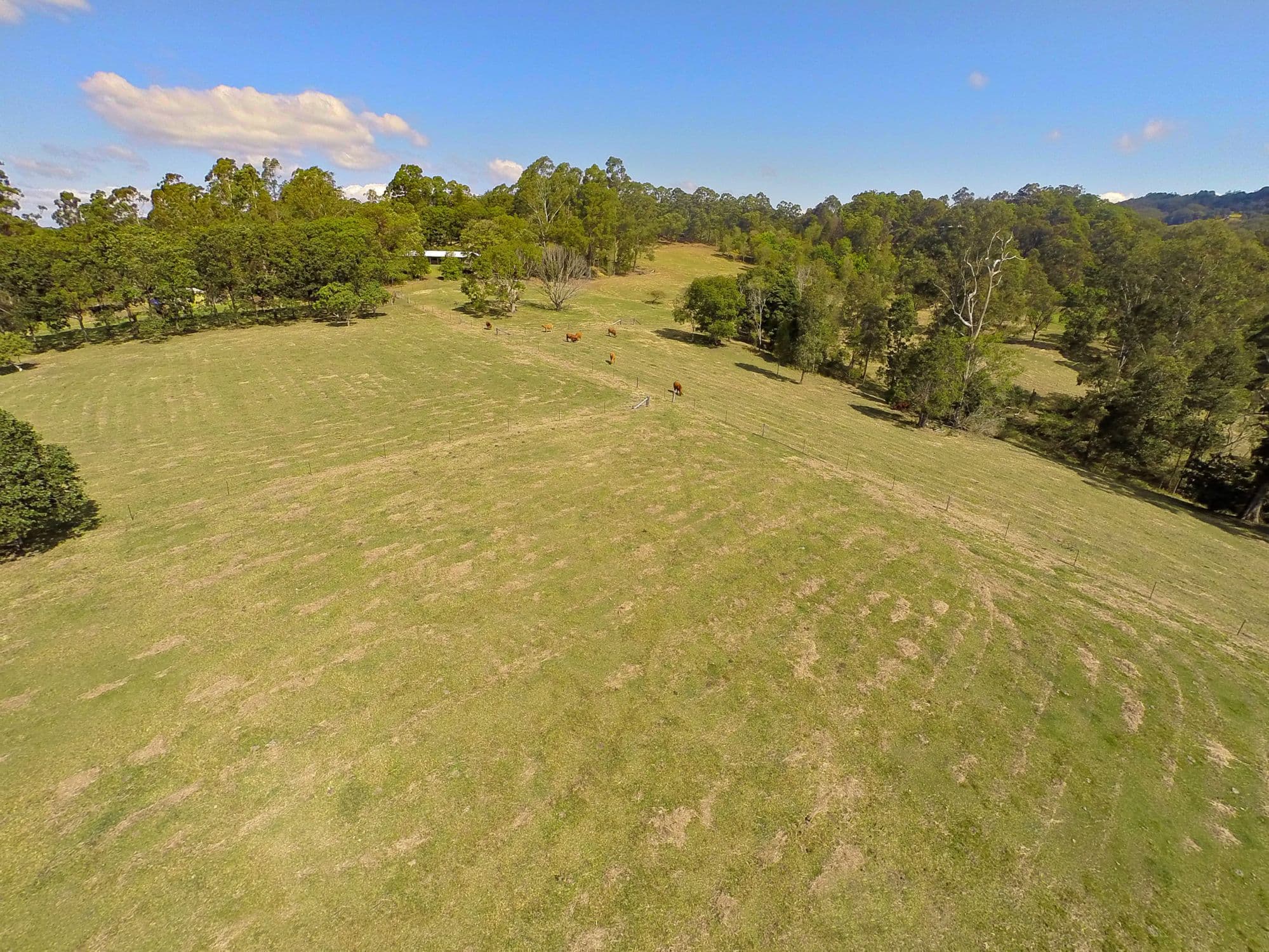 30 MacDonald Road, Palmwoods - Thumbnail 7