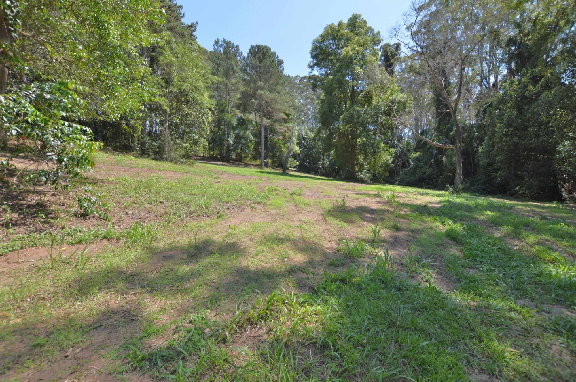 152 Kiel Mt. Road, Woombye, Woombye - Thumbnail 2