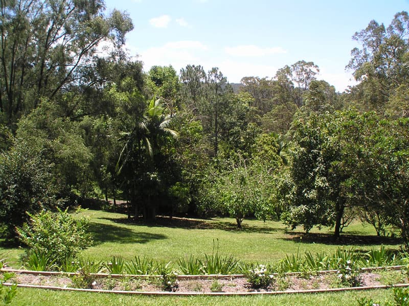 32 Country Road, Palmwoods, Palmwoods - Thumbnail 2