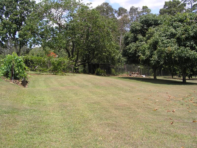 54 Landershute Road, Palmwoods - Thumbnail 5