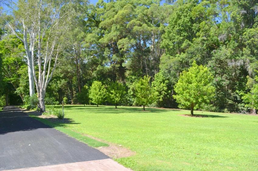 186 Old Palmwoods Road, Woombye, Woombye - Thumbnail 4
