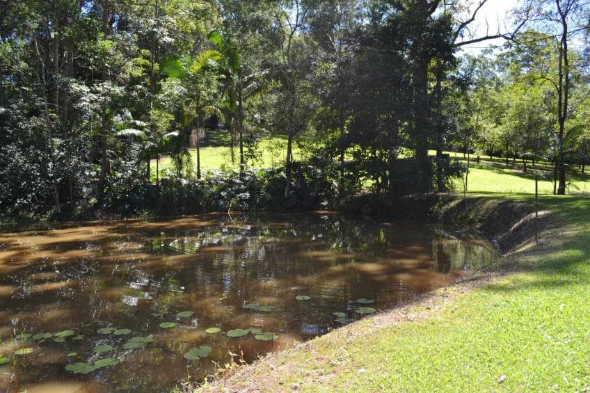 186 Old Palmwoods Road, Woombye, Woombye - Thumbnail 5