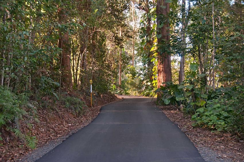 186 Old Palmwoods Road, Woombye, Woombye - Thumbnail 3
