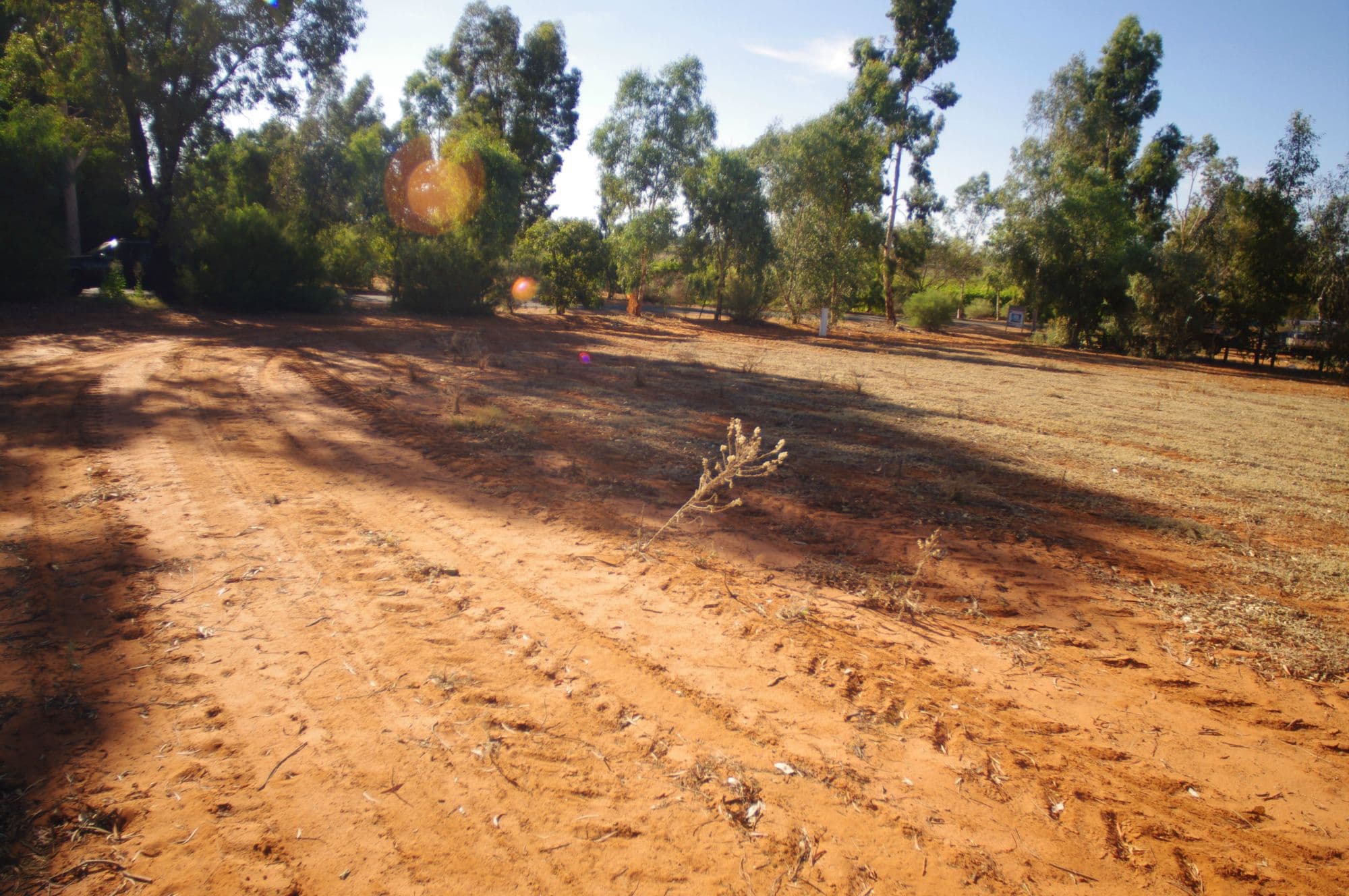 Lot 1 Alkira Road, Yelta - Thumbnail 2