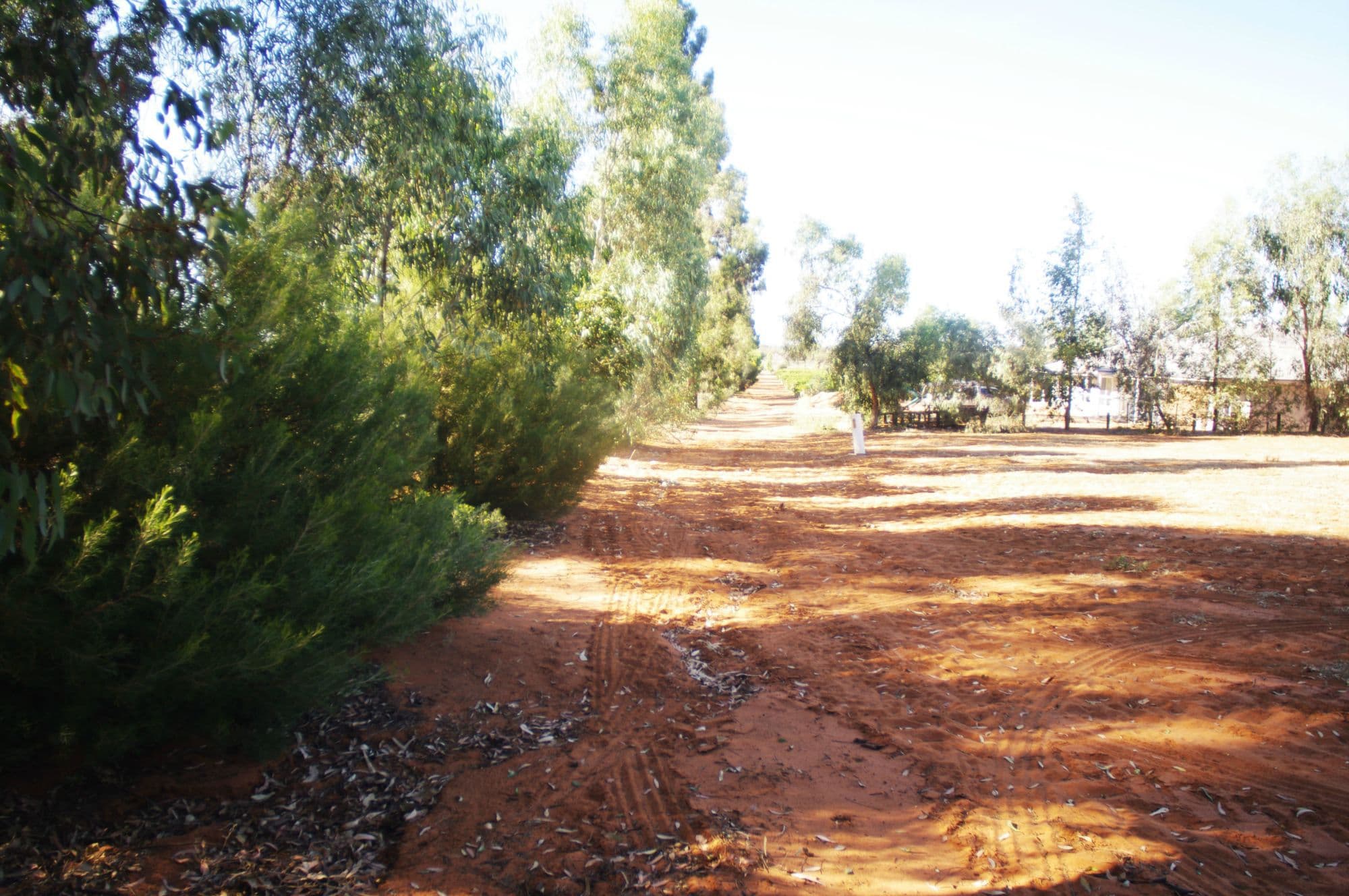 Lot 1 Alkira Road, Yelta - Thumbnail 3