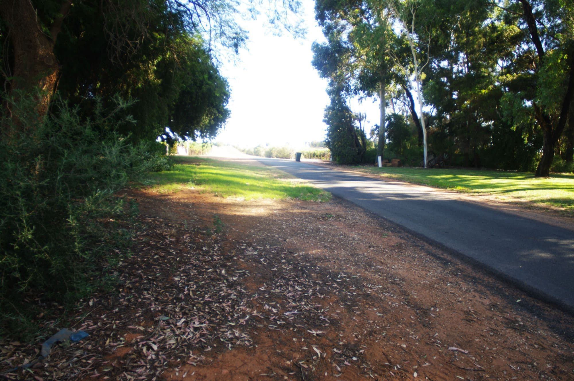 Lot 1 Alkira Road, Yelta - Thumbnail 4
