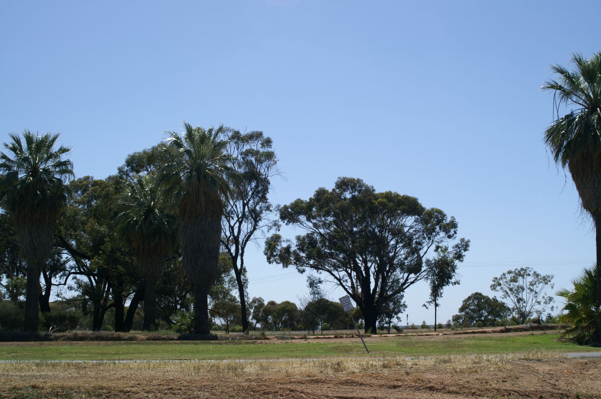 Lot 11 Munro Court, Birdwoodton - Thumbnail 6