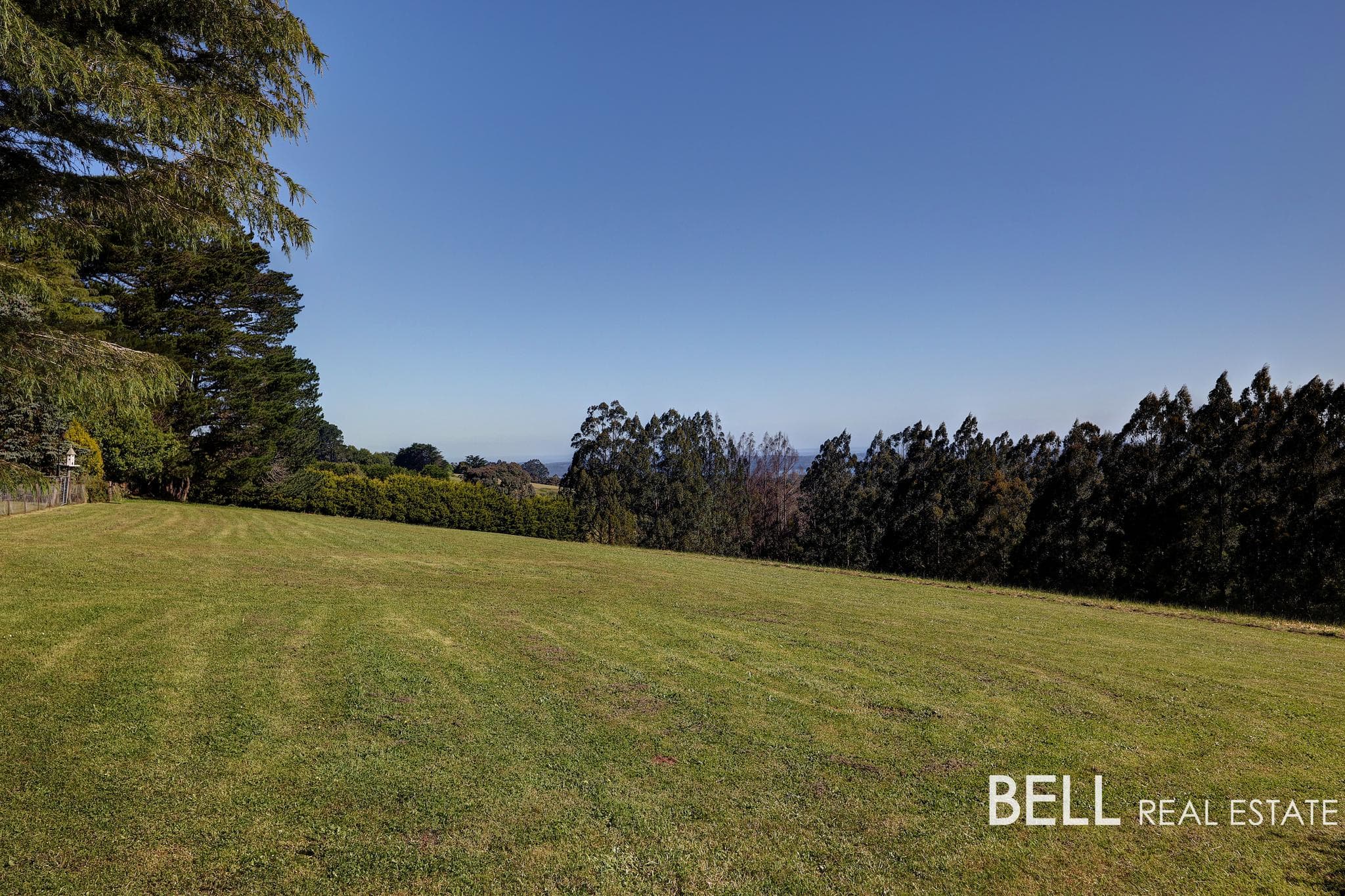 15 Cardinia Court, MENZIES CREEK, Menzies Creek - Thumbnail 8