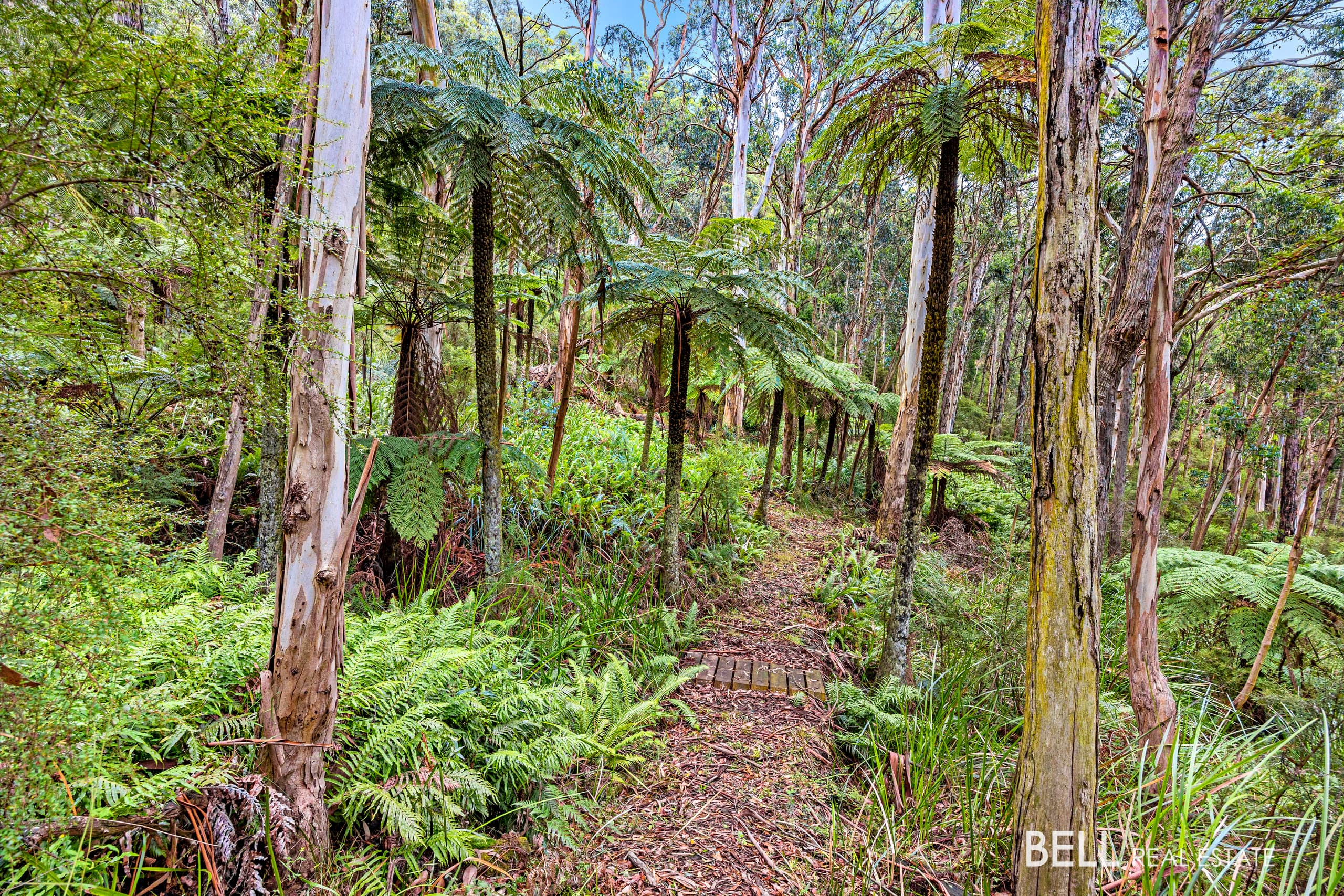 750 Don Road, BADGER CREEK, Badger Creek - Thumbnail 4