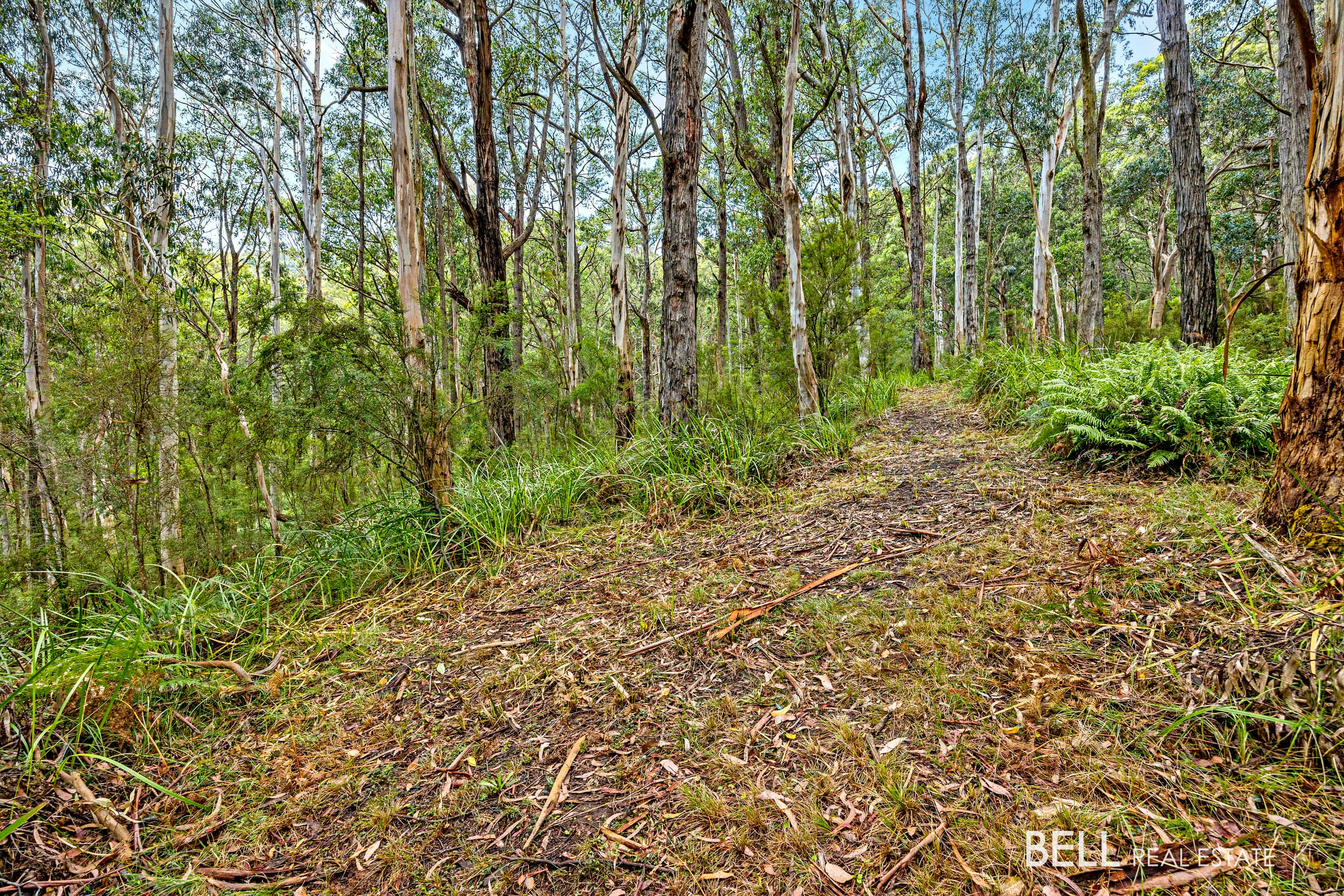 750 Don Road, BADGER CREEK, Badger Creek - Image 1