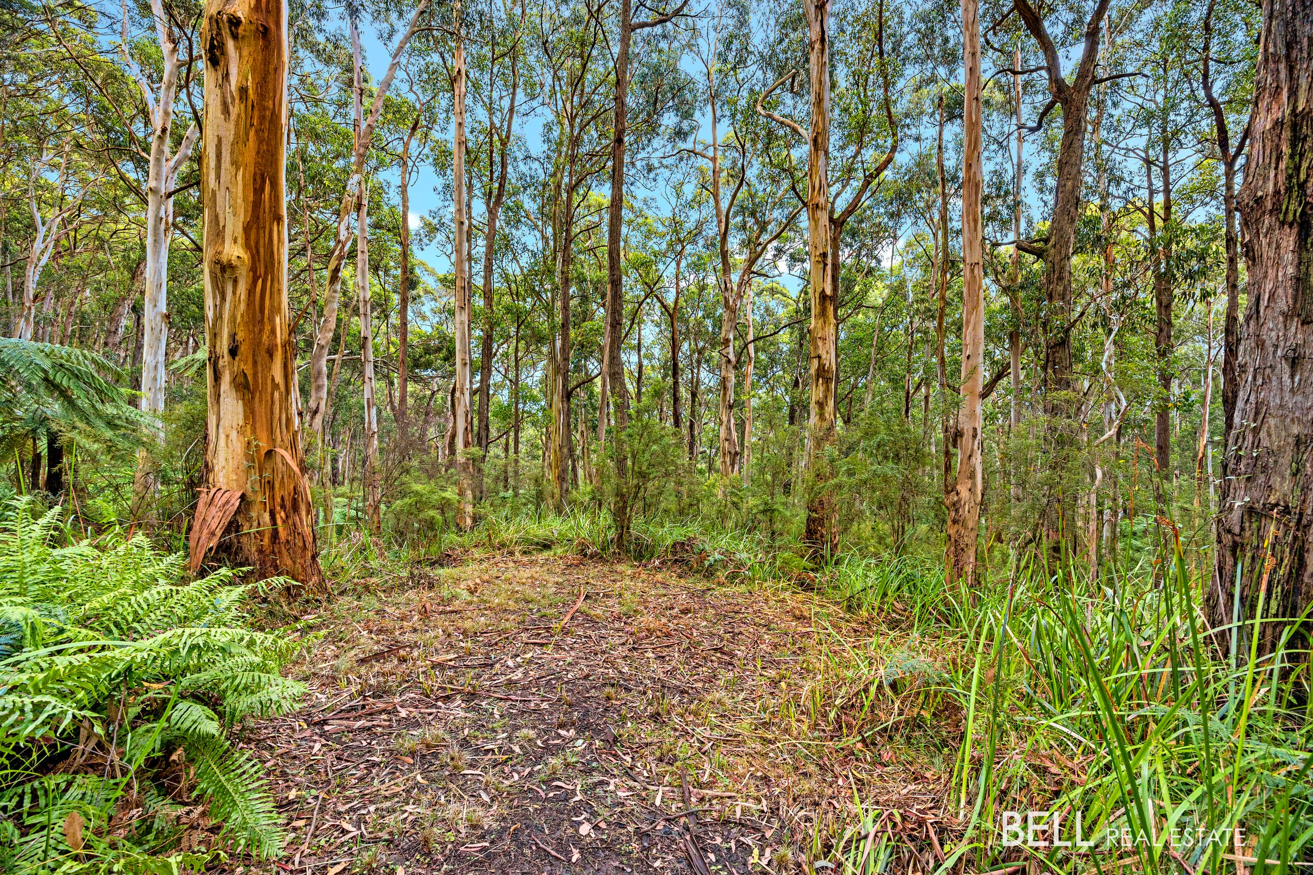 750 Don Road, BADGER CREEK, Badger Creek - Thumbnail 5
