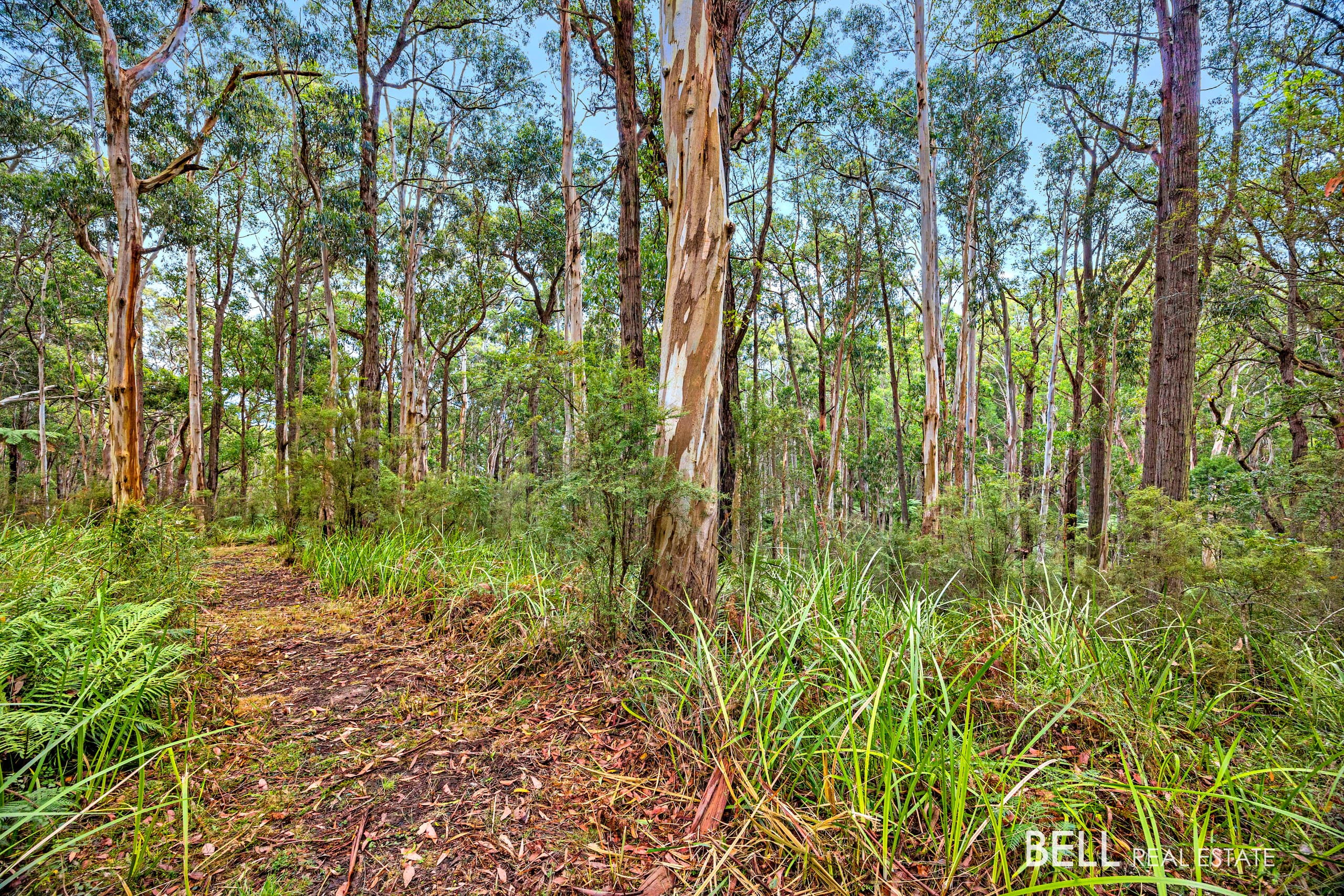 750 Don Road, BADGER CREEK, Badger Creek - Thumbnail 6
