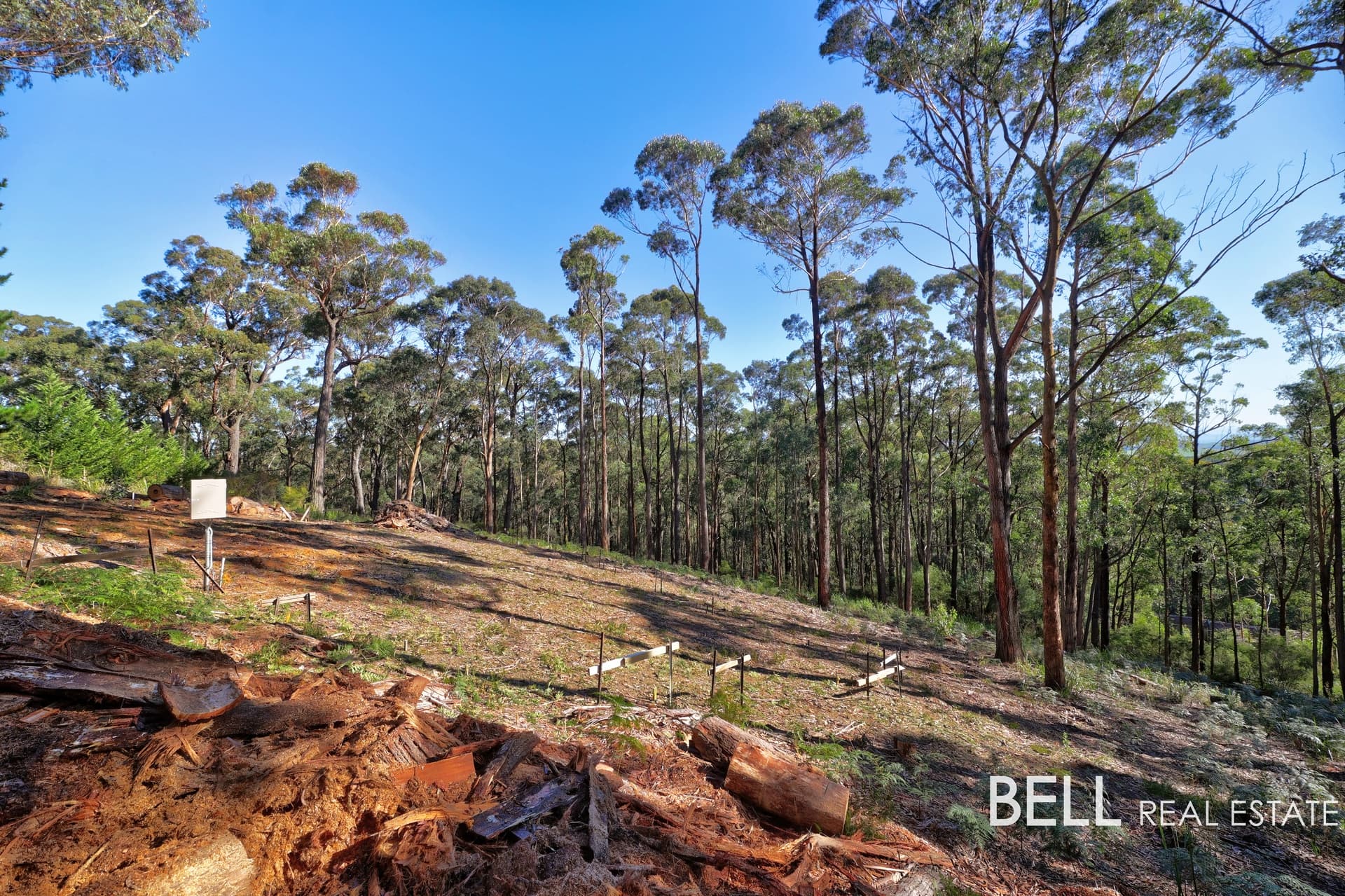 131 Grey Road, GEMBROOK, Gembrook - Thumbnail 4