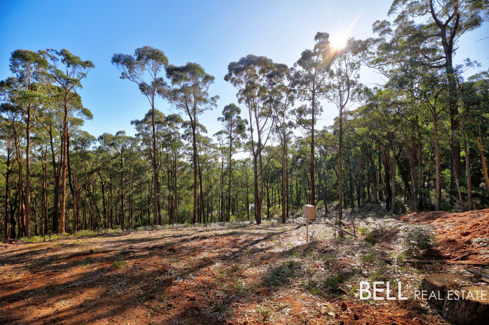 131 Grey Road, GEMBROOK, Gembrook - Thumbnail 3