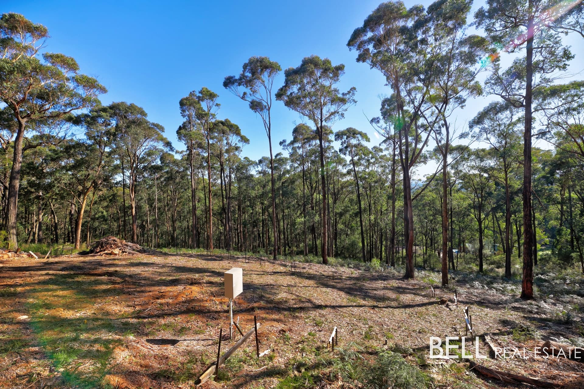 131 Grey Road, GEMBROOK, Gembrook - Thumbnail 2