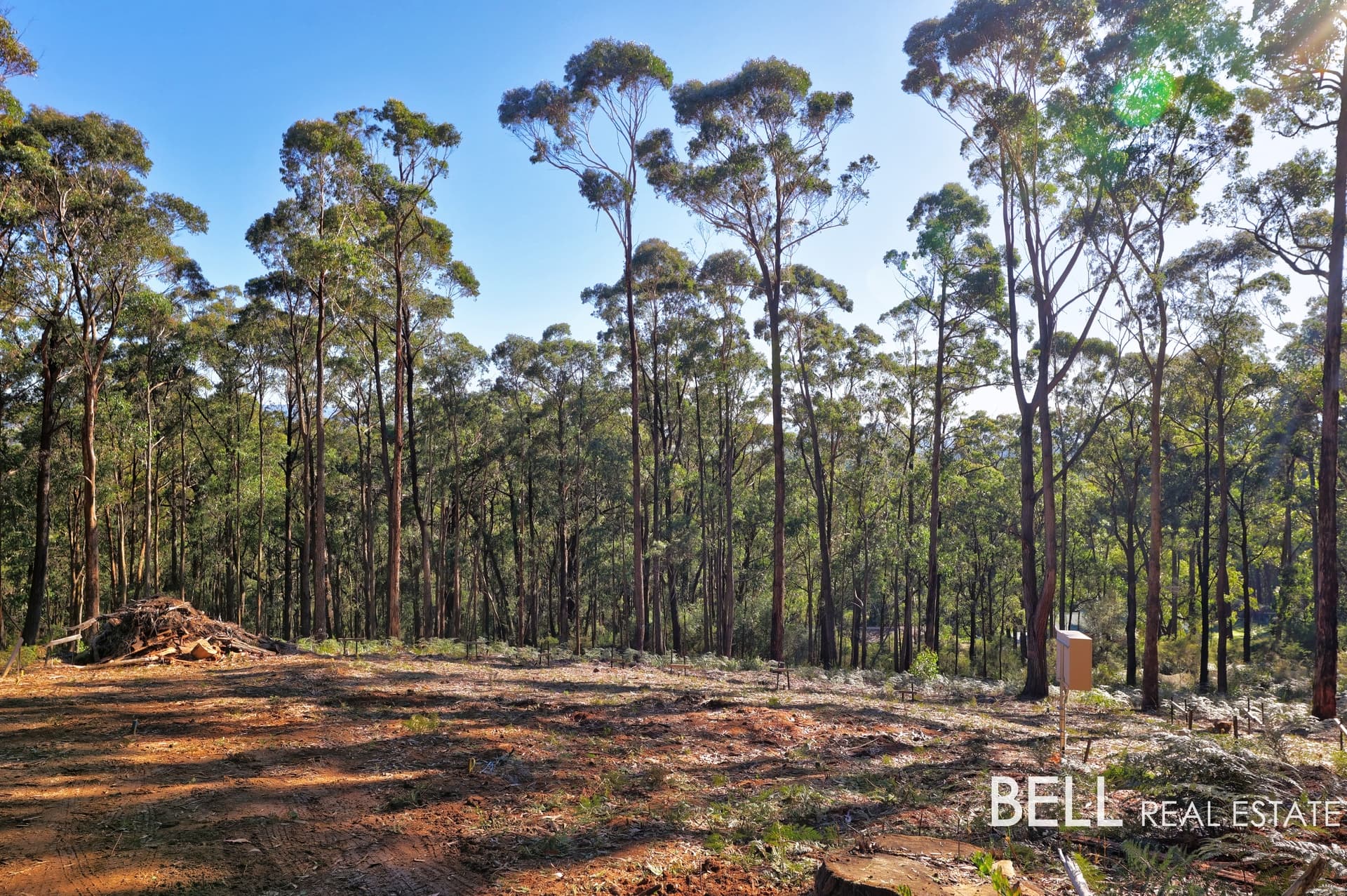 131 Grey Road, GEMBROOK, Gembrook - Thumbnail 5