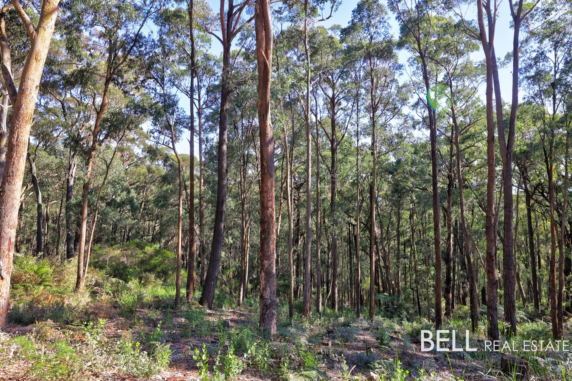 131 Grey Road, GEMBROOK, Gembrook - Thumbnail 6
