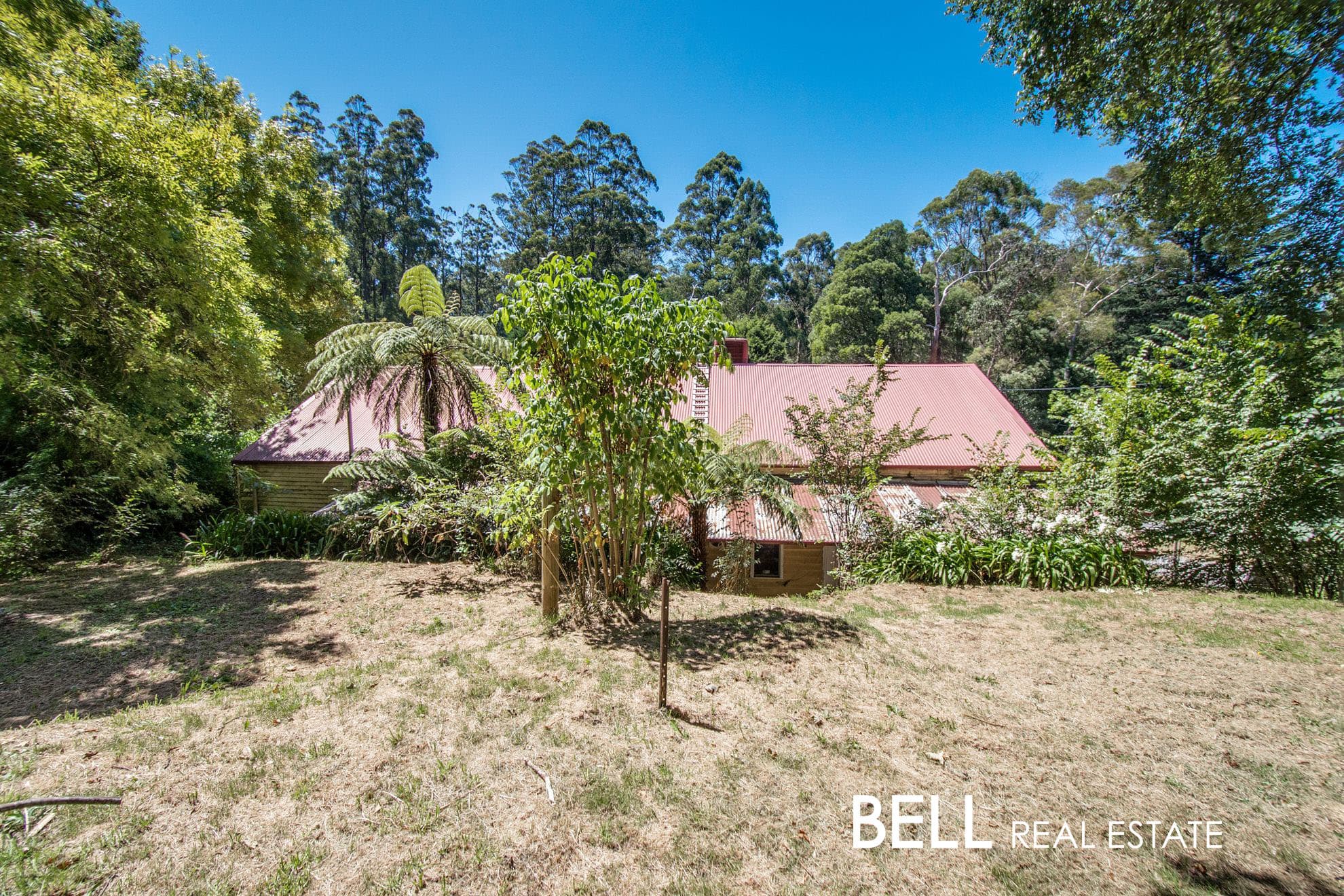 195 Mount Dandenong Tourist Road, FERNY CREEK, Ferny Creek - Thumbnail 5