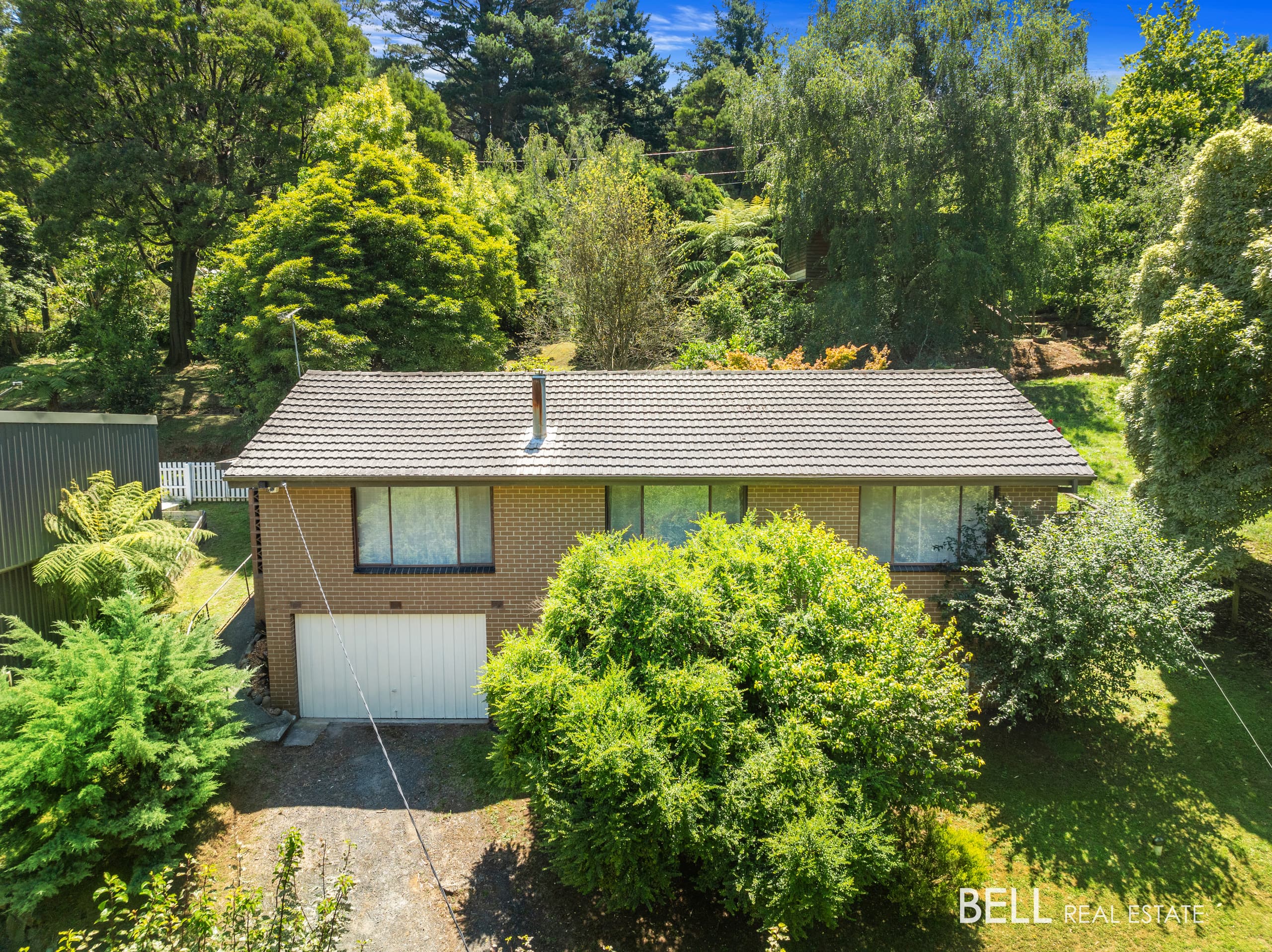 45 Woods Point Road, WARBURTON, Warburton - Thumbnail 8