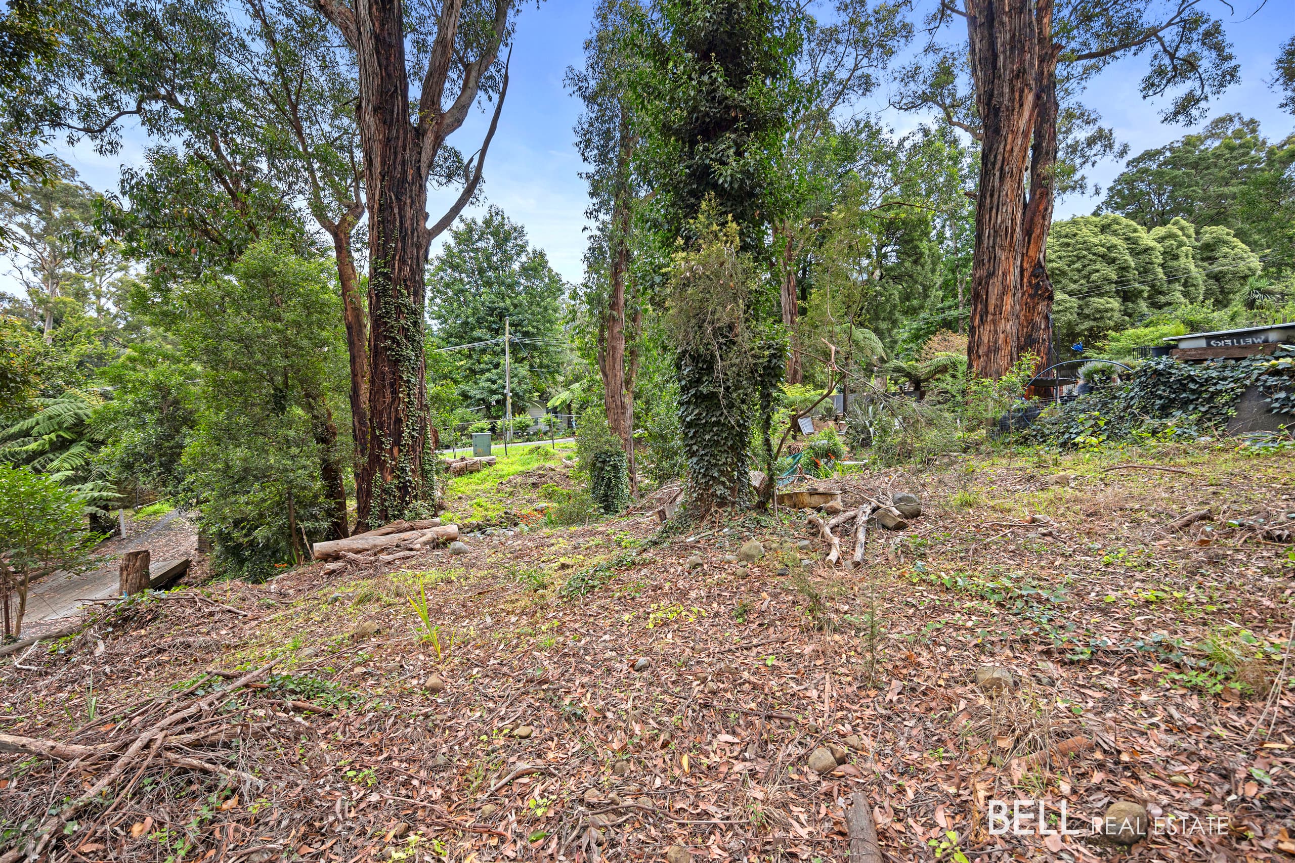 53 Wonga Road, MILLGROVE, Millgrove - Thumbnail 6